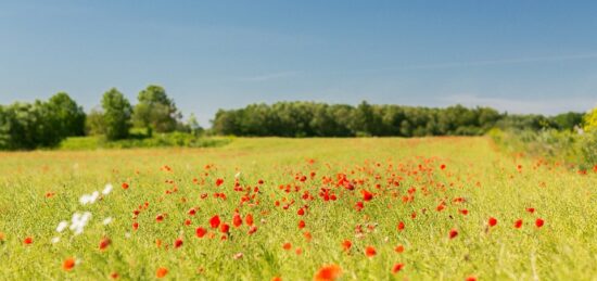 Terrain à bâtir à Vensac, Nouvelle-Aquitaine