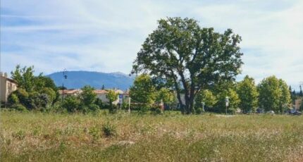 Mazan Maison neuve - 2402257-617annonce220260122J353l.jpeg Maisons France Confort