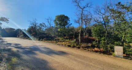 Labastide-de-Virac Maison neuve - 2437432-5100annonce120260223K4Wzk.jpeg Maisons France Confort