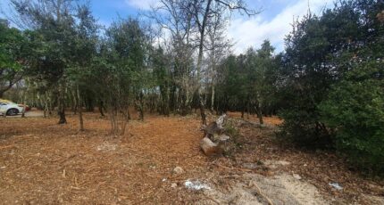 Labastide-de-Virac Terrain à bâtir - 2437371-5100annonce120260223O6KuT.jpeg Maisons France Confort