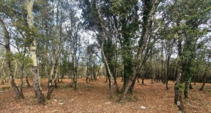 Labastide-de-Virac Terrain à bâtir - 2437371-5100annonce220260223TtiyD.jpeg Maisons France Confort