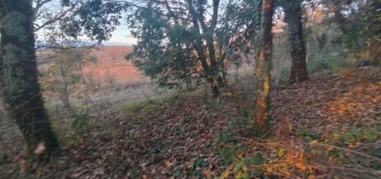 Terrain à bâtir à , Gard