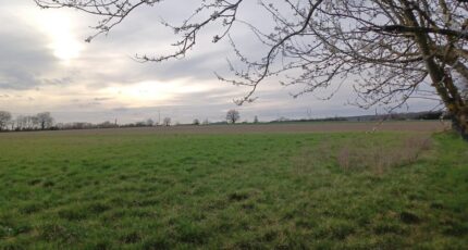 Semblançay Maison neuve - 2438610-3427annonce120260223ixvSi.jpeg Maisons France Confort