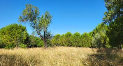 Alès Maison neuve - 2438553-4620annonce1202602238y8f6.jpeg Maisons France Confort