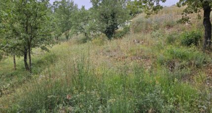 Saint-Paul-en-Forêt Terrain à bâtir - 2438798-5163annonce120260223kIU11.jpeg Maisons France Confort