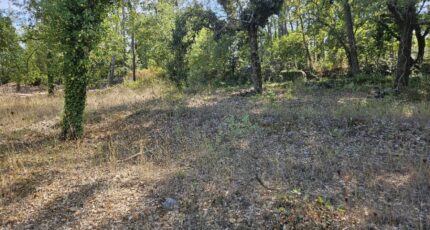 Callian Terrain à bâtir - 2438801-5163annonce220260224dBaiP.jpeg Maisons France Confort