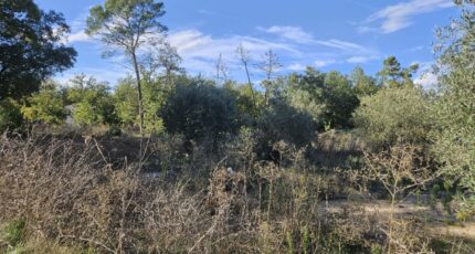 Callian Terrain à bâtir - 2438802-5163annonce420260224SkczC.jpeg Maisons France Confort