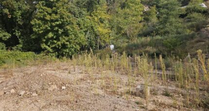 Saint-Vallier-de-Thiey Terrain à bâtir - 2438808-5163annonce220260224BVo7G.jpeg Maisons France Confort