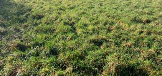 Terrain à bâtir à Chassors, Nouvelle-Aquitaine