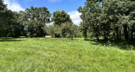 Pornic Terrain à bâtir - 2401445-11110annonce220260122Ru7Ex.jpeg Maisons France Confort