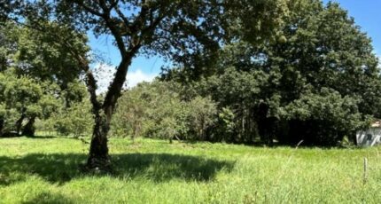 Pornic Maison neuve - 2401449-11110annonce320260122ws9Ey.jpeg Maisons France Confort