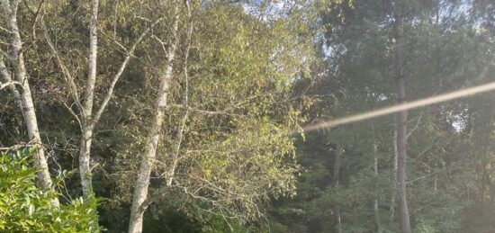 Terrain à bâtir à Le Pian-Médoc, Nouvelle-Aquitaine