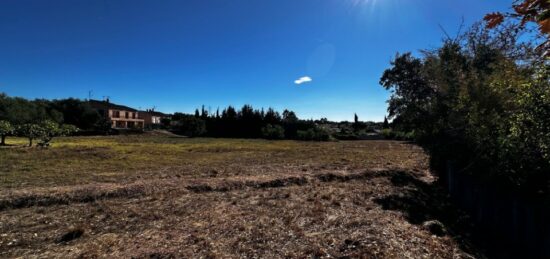 Terrain à bâtir à Puget-sur-Argens, Provence-Alpes-Côte d'Azur