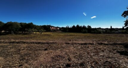 Puget-sur-Argens Terrain à bâtir - 2442469-11157annonce220260227gso3I.jpeg Maisons France Confort