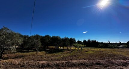 Puget-sur-Argens Terrain à bâtir - 2442469-11157annonce320260227iUf9O.jpeg Maisons France Confort