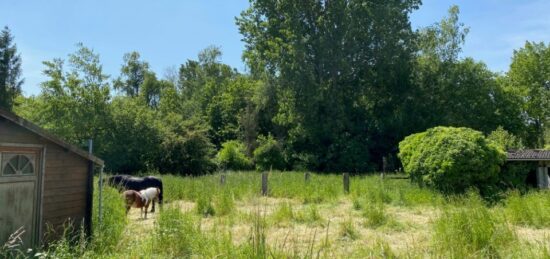 Terrain à bâtir à , Nord