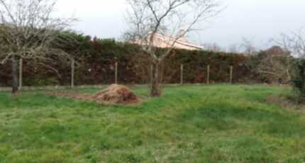 Bragayrac Maison neuve - 2442795-9555annonce120260227J4uAD.jpeg Maisons France Confort