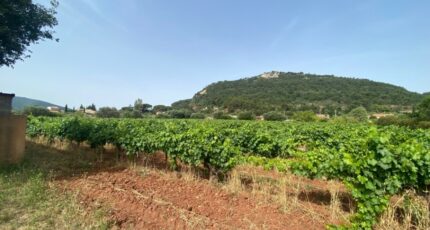 Gonfaron Maison neuve - 2444600-5922annonce120260226fqsG5.jpeg Maisons France Confort