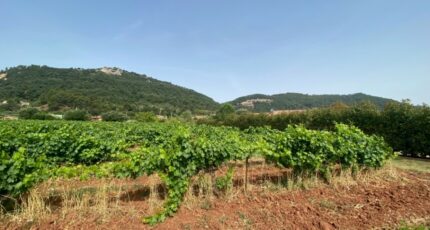 Gonfaron Maison neuve - 2441521-5922annonce4202602260Js36.jpeg Maisons France Confort