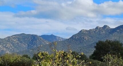 Villelongue-dels-Monts Maison neuve - 2444724-4671annonce1202603021MZpy.jpeg Maisons France Confort