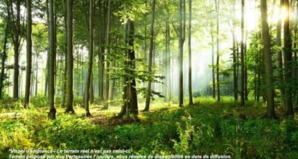 Nemours Terrain à bâtir - 2444079-4684annonce120260228bFSk3.jpeg Maisons France Confort