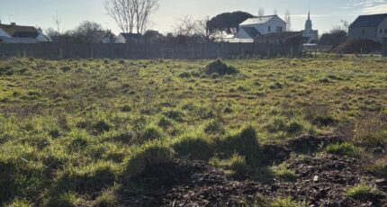 Saint-Mars-de-Coutais Maison neuve - 2417007-11110annonce220260203te7gx.jpeg Maisons France Confort