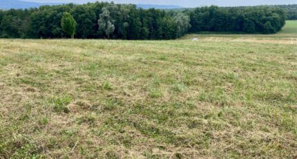 Le Miroir Terrain à bâtir - 2347940-754annonce420251124ALrgV.jpeg Maisons France Confort