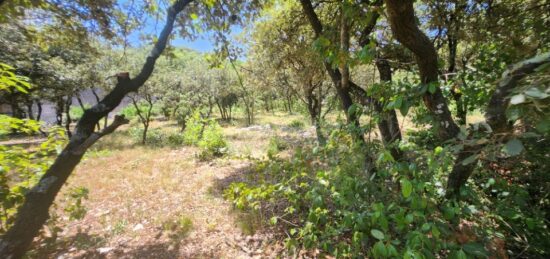 Terrain à bâtir à Bourg-Saint-Andéol, Auvergne-Rhône-Alpes