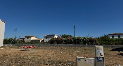 Pomérols Terrain à bâtir - 2445019-11455annonce1202603025lltO.jpeg Maisons France Confort