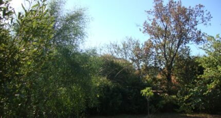 Cuers Terrain à bâtir - 2445138-11080annonce320260302lFggA.jpeg Maisons France Confort