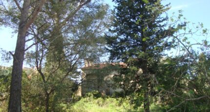 La Crau Terrain à bâtir - 2445061-11080annonce120260302btPnC.jpeg Maisons France Confort