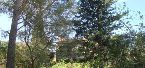 Terrain à bâtir à La Crau, Provence-Alpes-Côte d'Azur