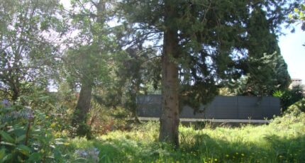 La Crau Terrain à bâtir - 2445061-11080annonce2202603026Vm3k.jpeg Maisons France Confort