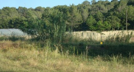 Pierrefeu-du-Var Terrain à bâtir - 2445101-11080annonce120260302wFGsZ.jpeg Maisons France Confort