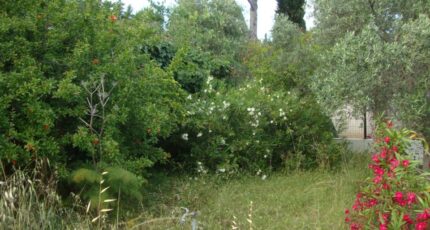 Pierrefeu-du-Var Terrain à bâtir - 2445101-11080annonce3202603021WroV.jpeg Maisons France Confort