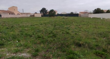 Saint-Nazaire-d'Aude Terrain à bâtir - 2445201-11782annonce220260302ecT5g.jpeg Maisons France Confort