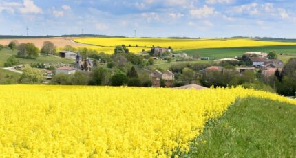 Lignières-de-Touraine Maison neuve - 2422722-9897annonce120260121MwwG2.jpeg Maisons France Confort