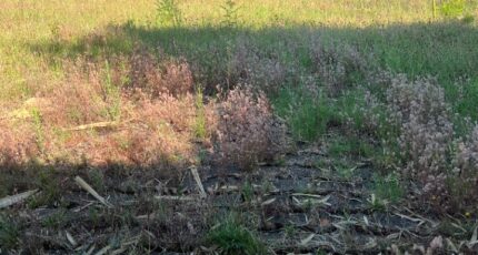 Talence Maison neuve - 2365616-11303annonce220251211Wma4H.jpeg Maisons France Confort