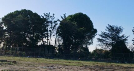 Caveirac Terrain à bâtir - 2445450-11040annonce120260302V6nK5.jpeg Maisons France Confort