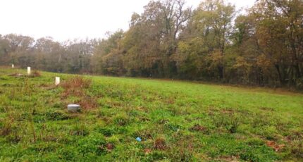 Bouliac Maison neuve - 2445510-11596annonce120260116TrANn.jpeg Maisons France Confort