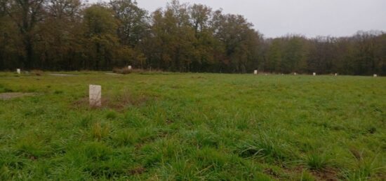 Terrain à bâtir à Saint-Genès-de-Lombaud, Nouvelle-Aquitaine
