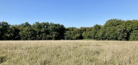 Terrain à bâtir à , Gironde