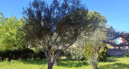 La Crau Terrain à bâtir - 2445584-11080annonce120260303J3585.jpeg Maisons France Confort