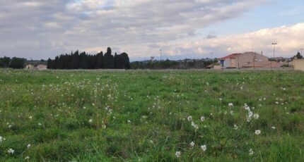 Fleury Maison neuve - 2445508-11782annonce120260302Xp7og.jpeg Maisons France Confort