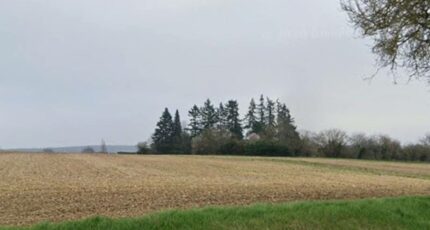 Crézancy-en-Sancerre Maison neuve - 2445943-11786annonce120260303ph6xN.jpeg Maisons France Confort