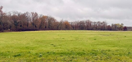 Terrain à bâtir à Ribagnac, Nouvelle-Aquitaine