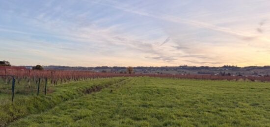Terrain à bâtir à Saint-Laurent-des-Vignes, Nouvelle-Aquitaine