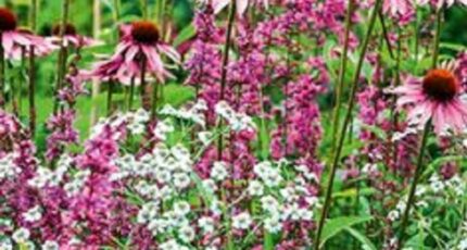 Chinon Terrain à bâtir - 2405876-10205annonce1202509098593H.jpeg Maisons France Confort