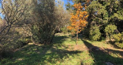 Carnoules Terrain à bâtir - 2446087-4866annonce320260303WNsuv.jpeg Maisons France Confort