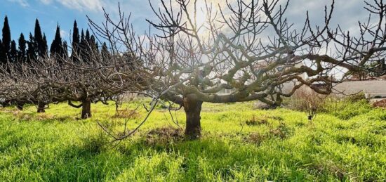 Terrain à bâtir à La Farlède, Provence-Alpes-Côte d'Azur
